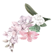 Hang Po Transportation